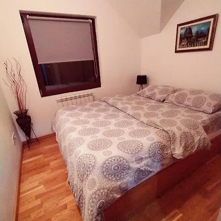 Gledovic Apartment